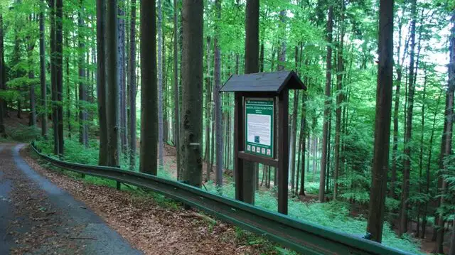 Prales Hojná Voda – naučné stezky, Horní Stropnice