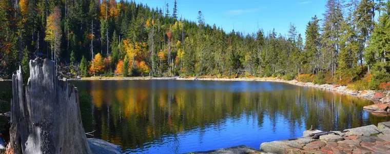 Prášilské jezero – příroda, Prášily