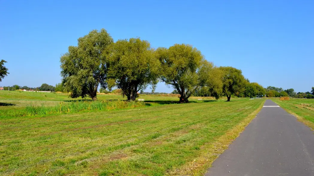 Promenáda Pasohlávky – příroda, Pasohlávky