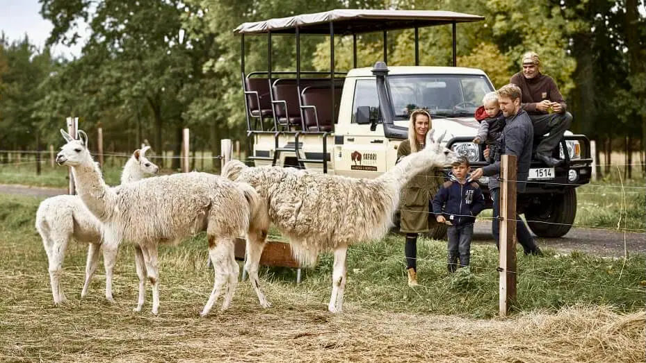 Safari Park – zoo a farmy, Borovany