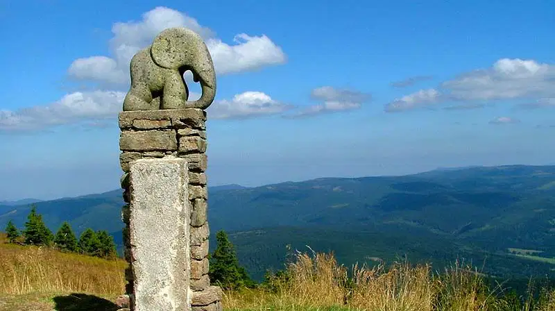 Za slůnětem na Kralický Sněžník – příroda, Dolní Morava