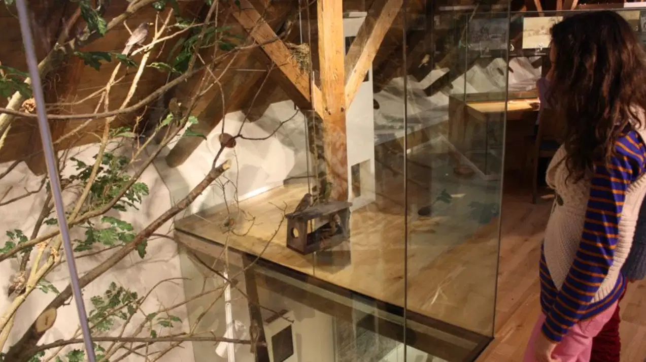 Muzeum Sýpka – muzea, Rokytnice v Orlických horách
