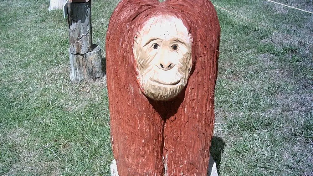 Dřevěná zoo – zoo a farmy, Želechovice