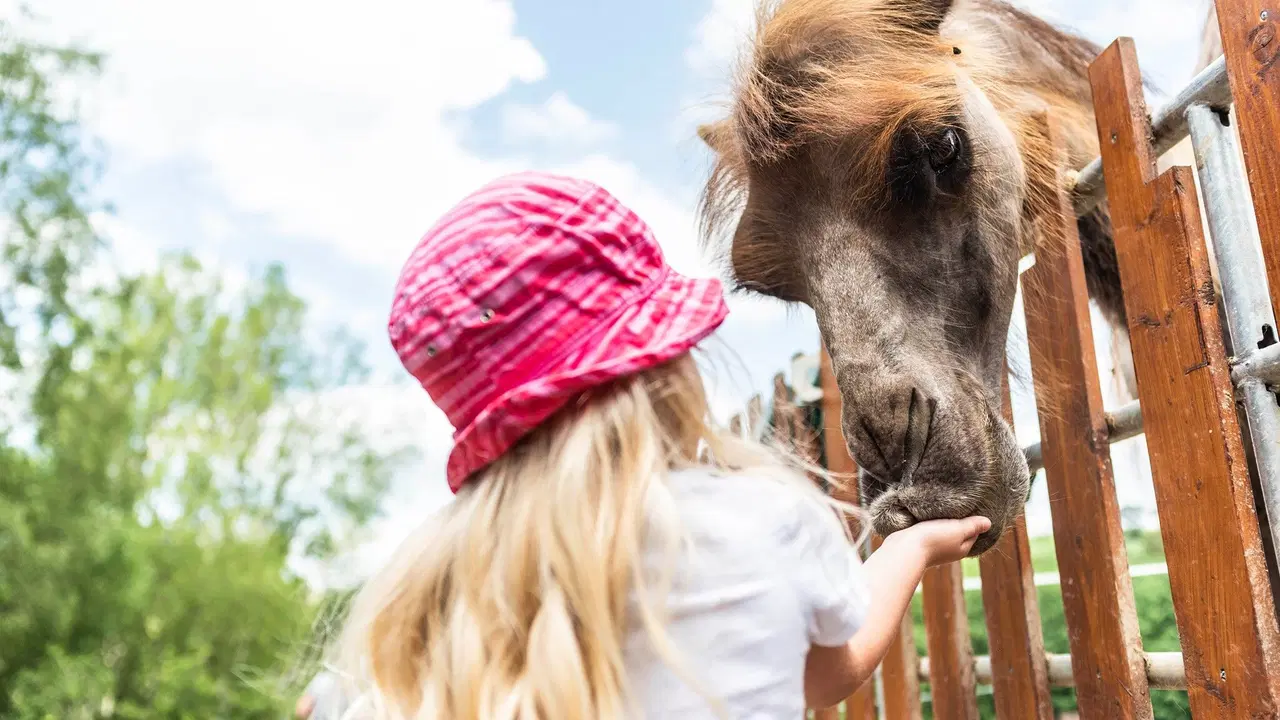 Farmapark Soběhrdy – zoo a farmy, Soběhrdy