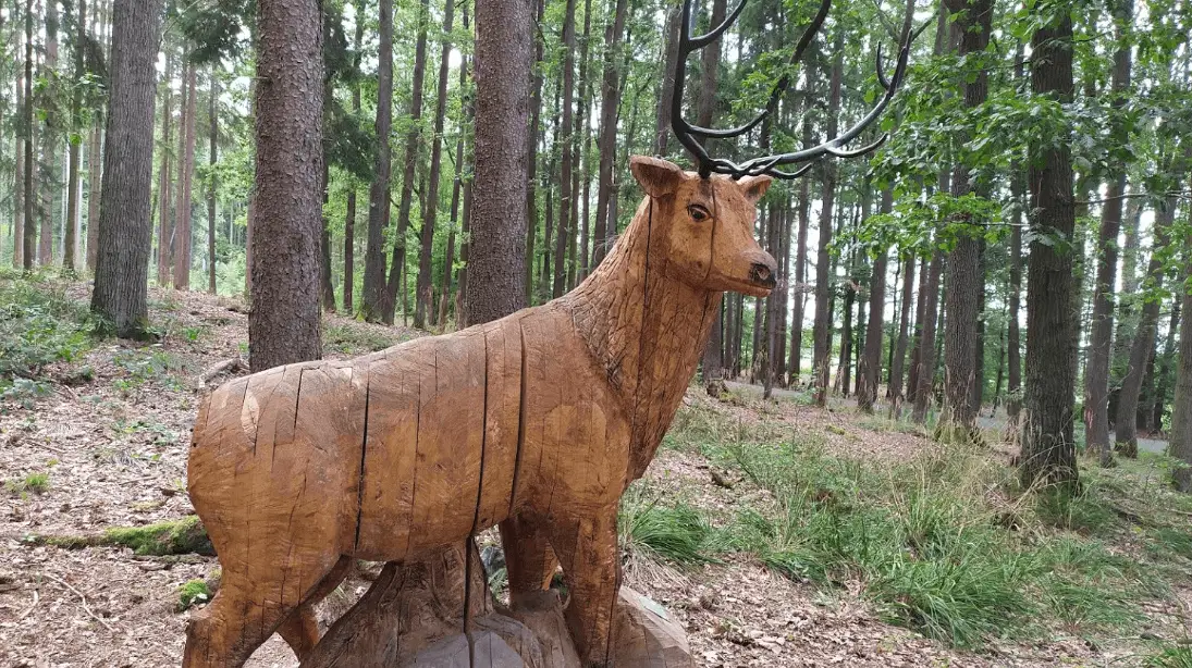 Ždírecká zoo – příroda, Blovice