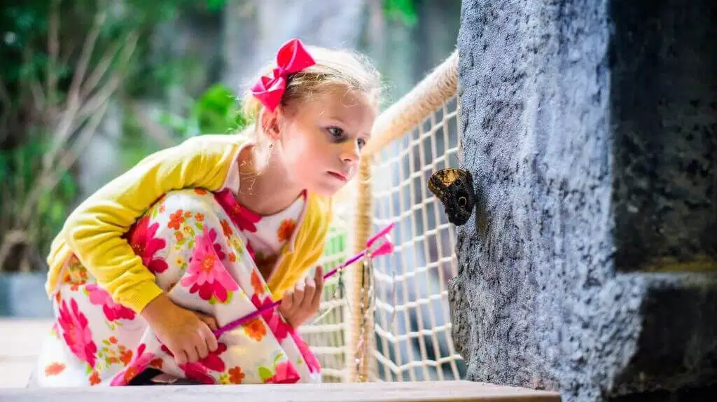 PAPILIONIA - Motýlí Dům – zoo a farmy, Praha