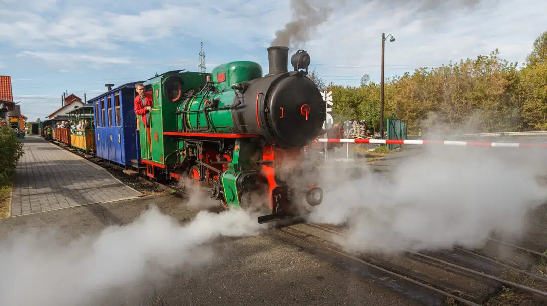 Kolínská řepařská drážka – muzea, Kolín