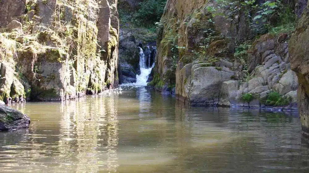 Skryjská jezírka – příroda, Skryje