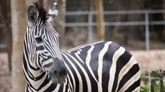 ZOO Ústí nad Labem – zoo a farmy, Ústí nad Labem