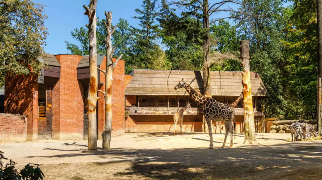 Zoo Liberec – zoo a farmy, Liberec