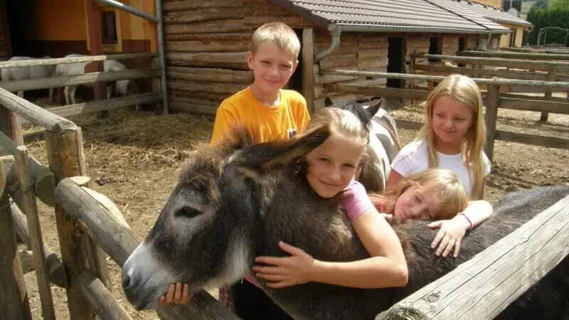 Selský Dvůr Braňany – zoo a farmy, Braňany