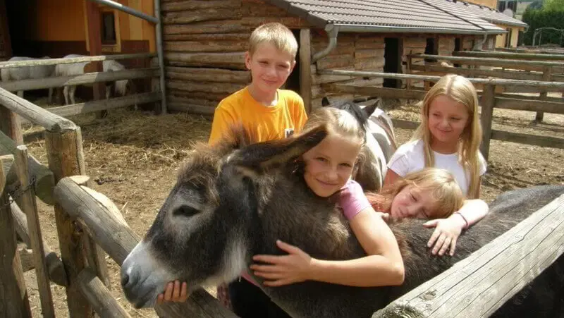Selský Dvůr Braňany – zoo a farmy, Braňany