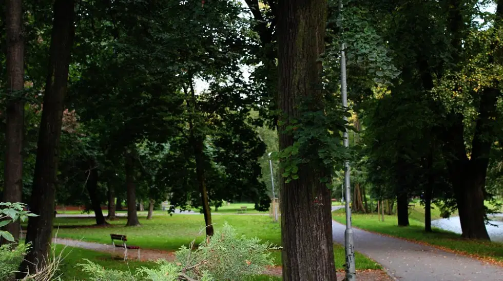 Smetanovy sady Vyškov – příroda, Vyškov