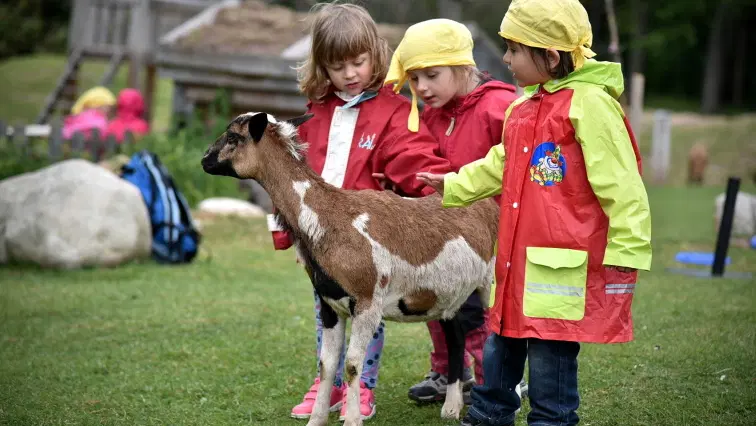 Farmapark Muchomůrka – zoo a farmy, Svoboda nad Úpou