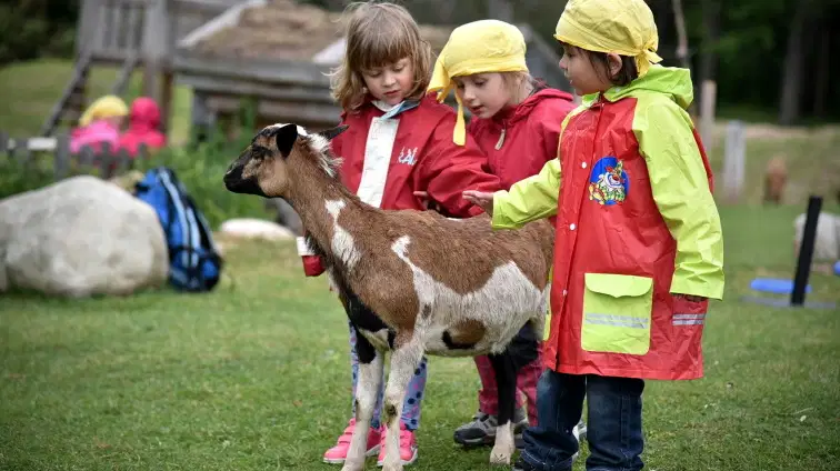 Farmapark Muchomůrka – zoo a farmy, Svoboda nad Úpou