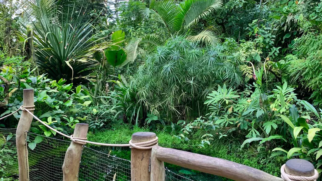 Botanická zahrada Praha – příroda, Praha
