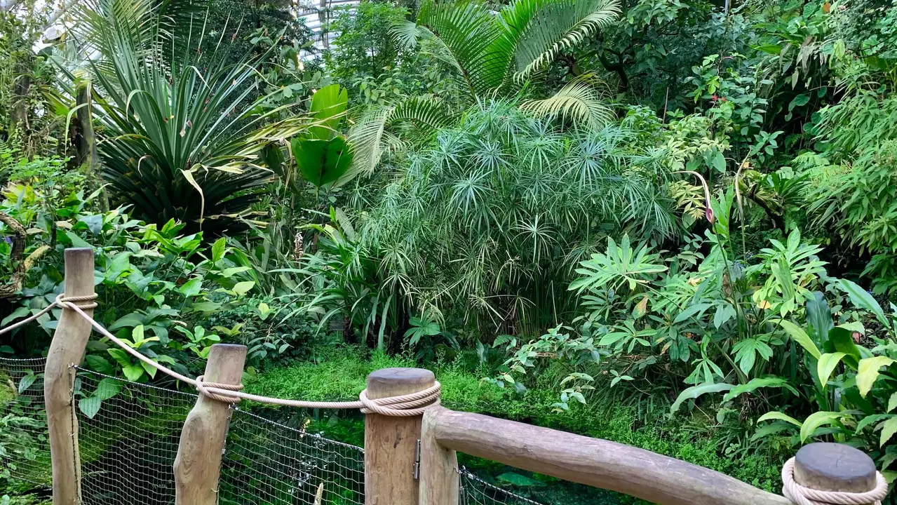 Botanická zahrada Praha – příroda, Praha