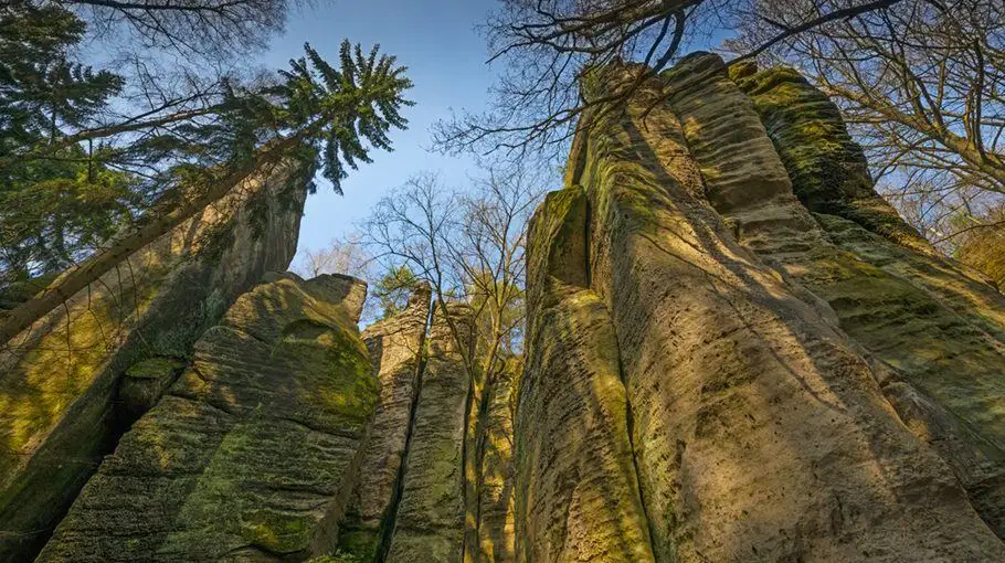 Prachovské skály – příroda, Zámostí-Blata