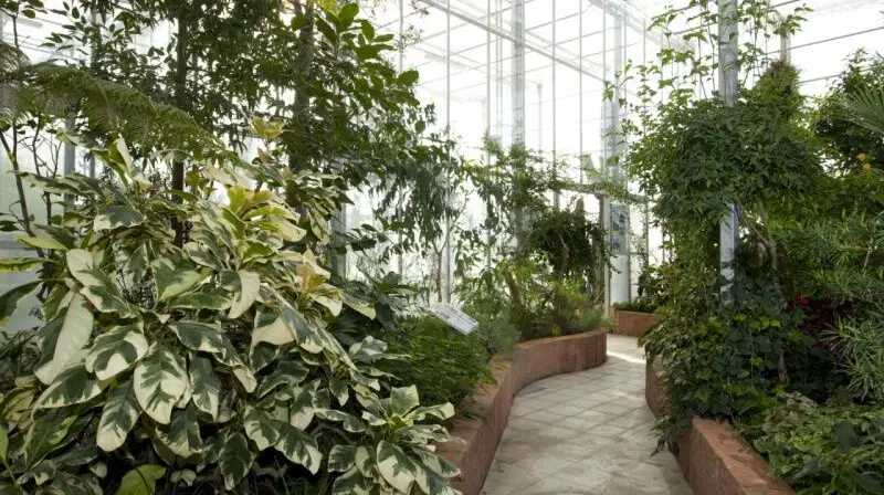 Arboretum Nový Dvůr – příroda, Stěbořice