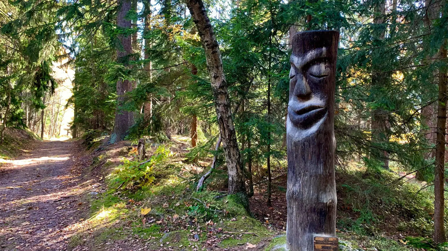 Stezka Dřevosochání – naučné stezky, Rokytnice nad Jizerou