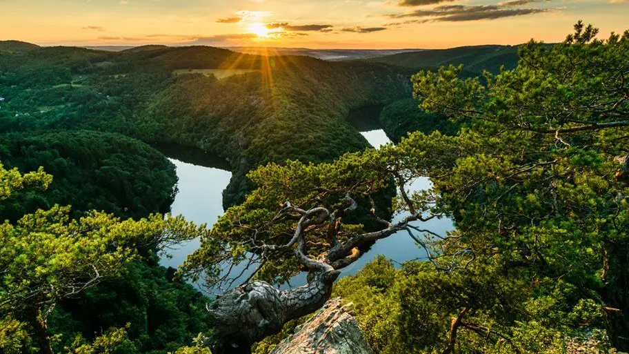 Vyhlídka Máj – příroda, Krňany