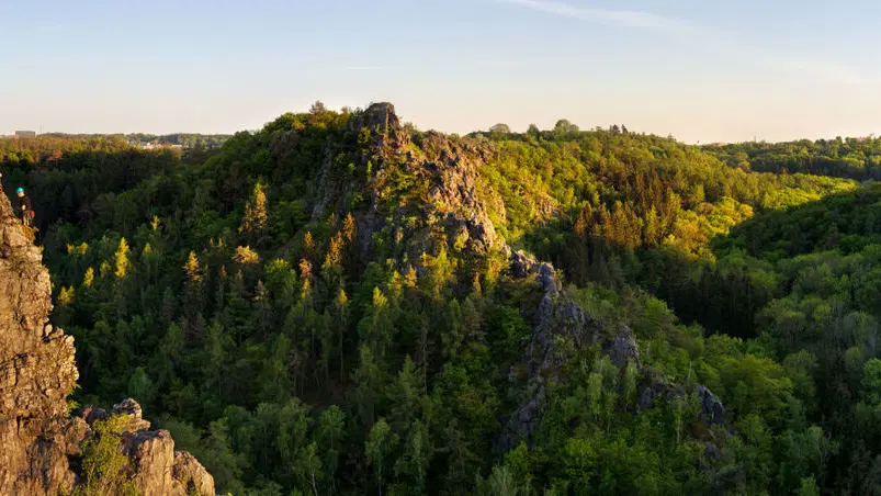 Divoká šárka – příroda, Praha