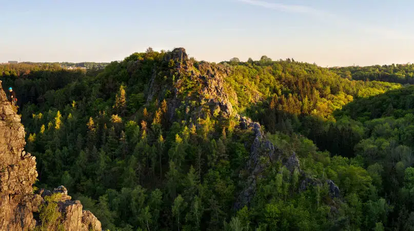 Divoká šárka – příroda, Praha