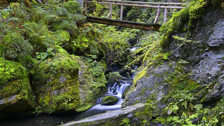 Naučná stezka Bílá Opava – naučné stezky, Karlova Studánka