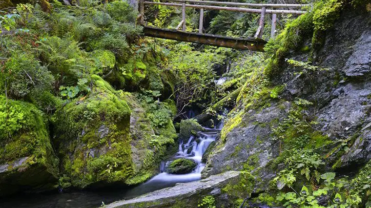 Naučná stezka Bílá Opava – naučné stezky, Karlova Studánka