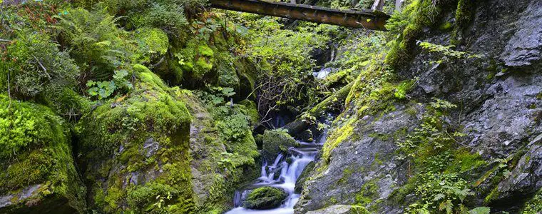 Naučná stezka Bílá Opava – naučné stezky, Karlova Studánka