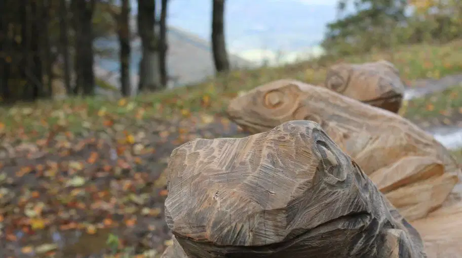 Dřevěná stezka Pustevenská Zoo – naučné stezky, Prostřední Bečva