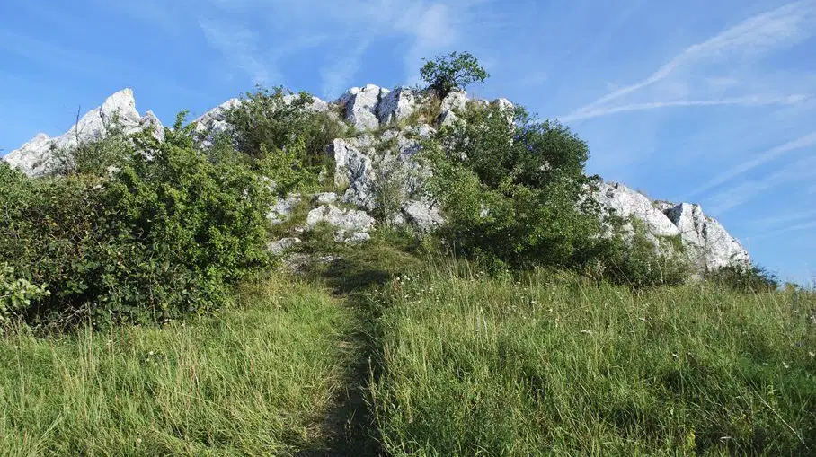 Kočičí skála u Mikulova – příroda, Klentnice
