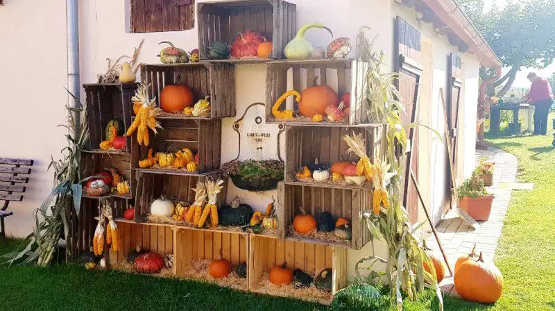 Dýňová farma v Bykoši – restaurace, kavárny, cukrárny, Bykoš