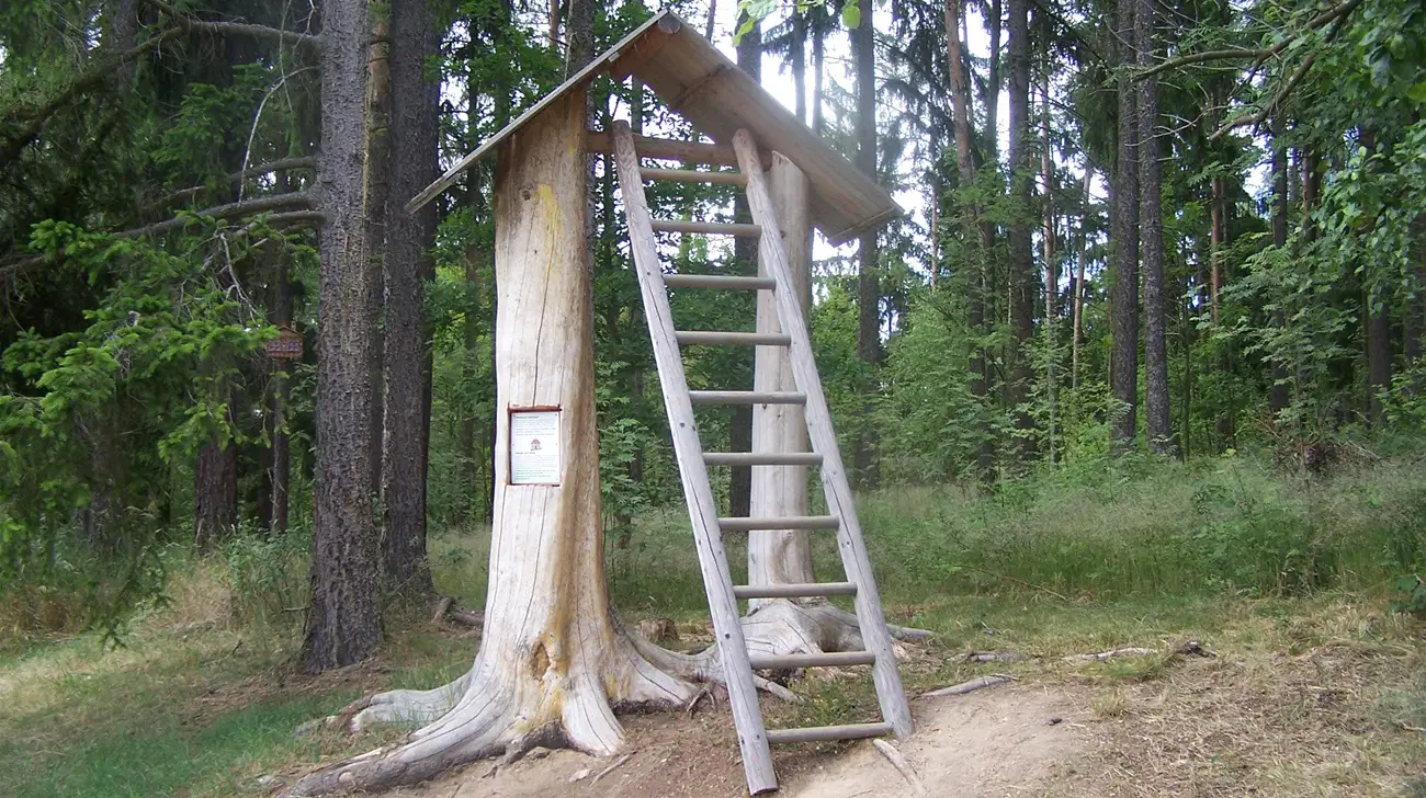 Pohádková cesta lesem – naučné stezky, Slavonice