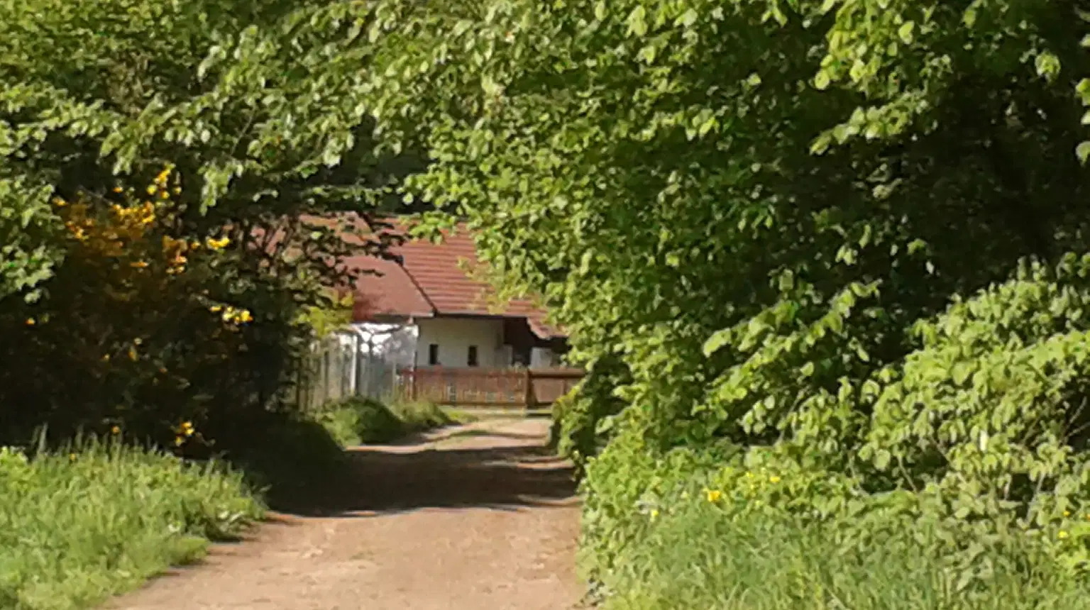 Šmelcovna – příroda, Javůrek