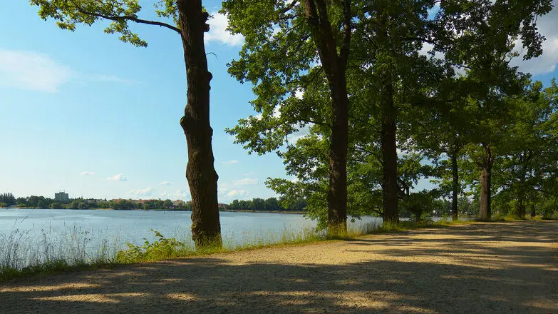Cyklistická naučná stezka okolo Třeboně – cyklotrasy, Třeboň