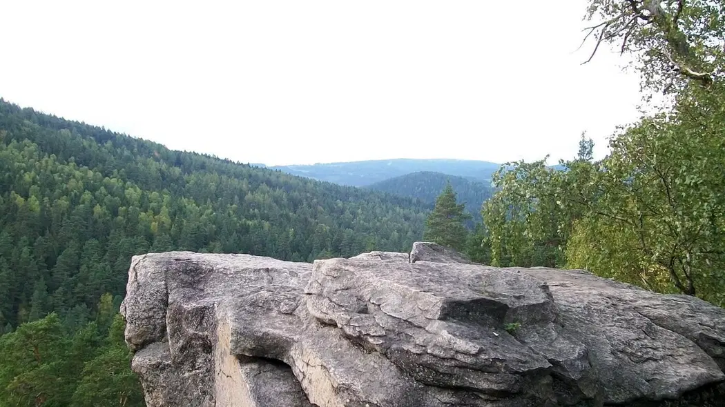 Čertova stěna – příroda, Vyšší Brod