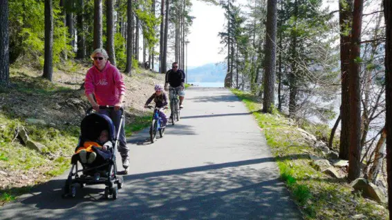 Jezerní cyklo-inline stezka na Lipně – cyklotrasy, Lipno nad Vltavou
