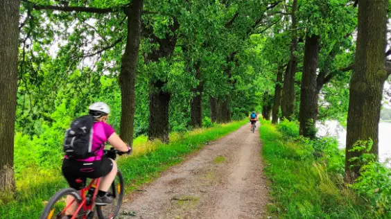 Cyklostezka z Kvildy do Finsterau – cyklotrasy, Kvilda