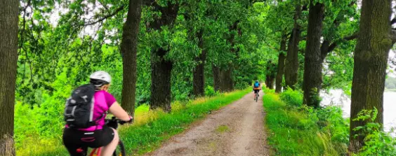Cyklostezka z Kvildy do Finsterau – cyklotrasy, Kvilda