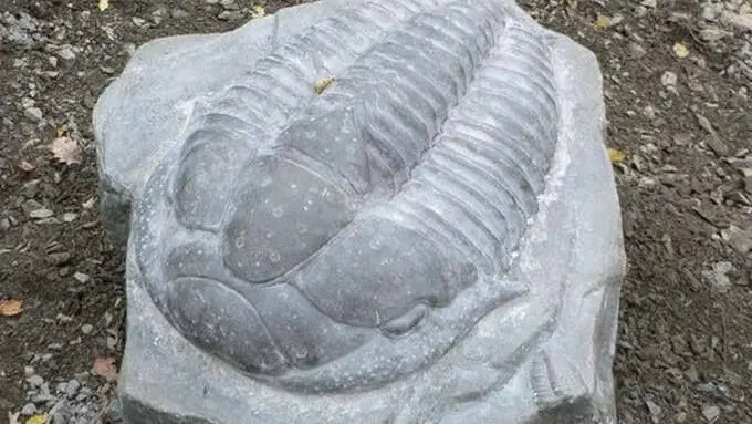 Naučná stezka Po stopě trilobita ve Skryjích – naučné stezky, Skryje