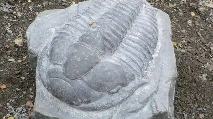 Naučná stezka Po stopě trilobita ve Skryjích – naučné stezky, Skryje
