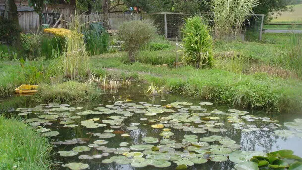 Vodní park Čabárna – příroda, Kladno