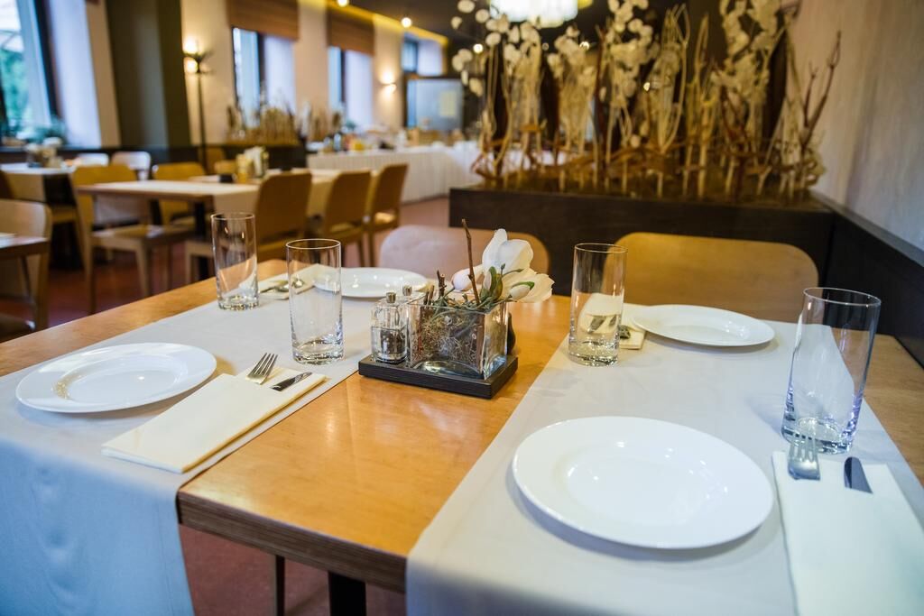 Hotel Olberg – NESOUHLASÍ SE ZAŘAZENÍM – hotel, Olomučany – fotka 12