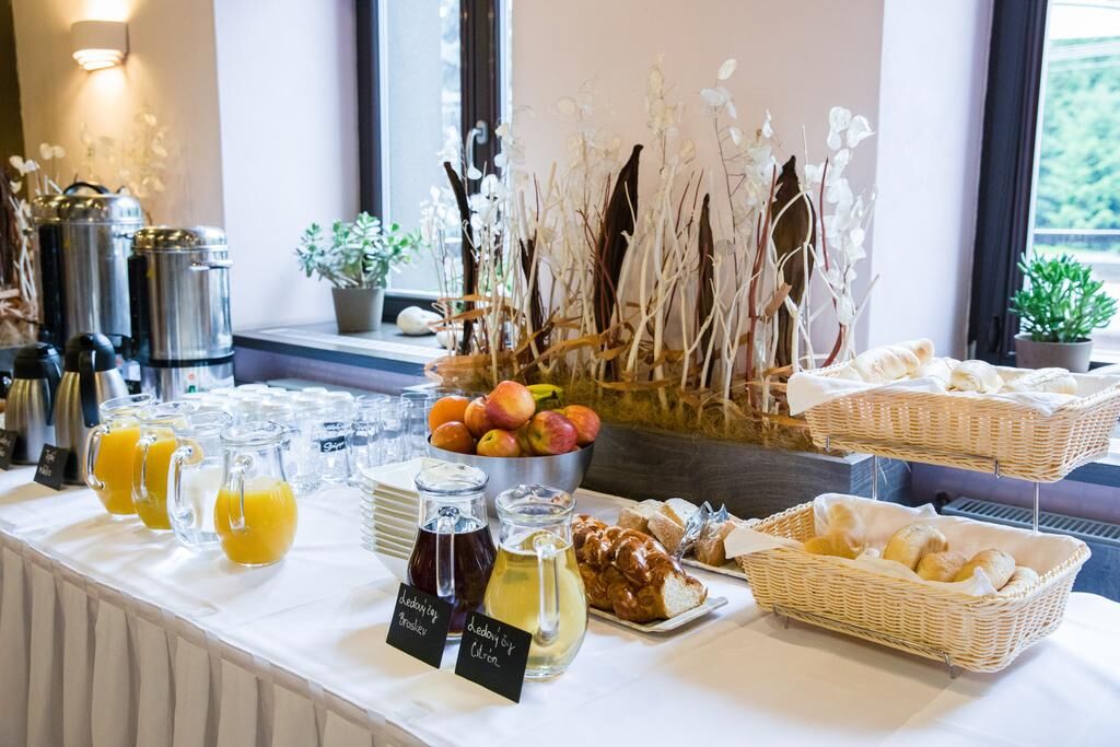 Hotel Olberg – NESOUHLASÍ SE ZAŘAZENÍM – hotel, Olomučany – fotka 13