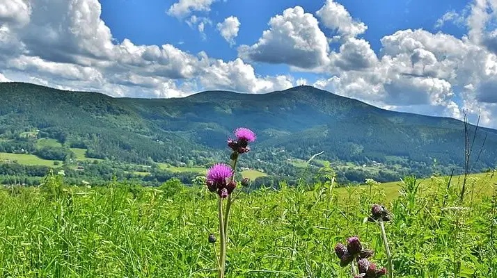 Po medvědích tlapkách: Oranžová liščí stezka – naučné stezky, Ostravice