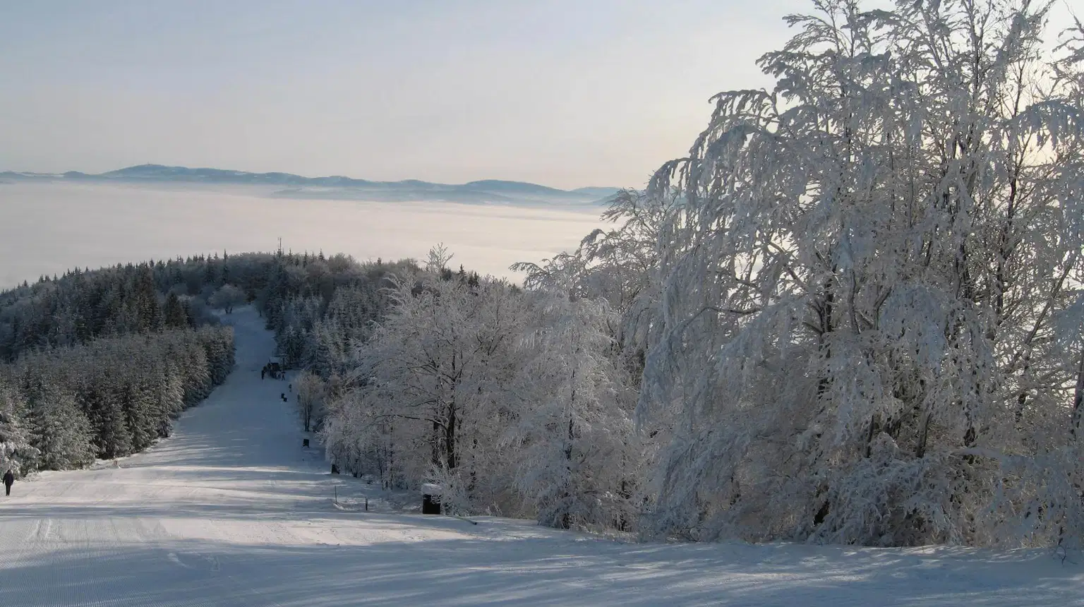 Javorový vrch – lyžařské areály, Třinec