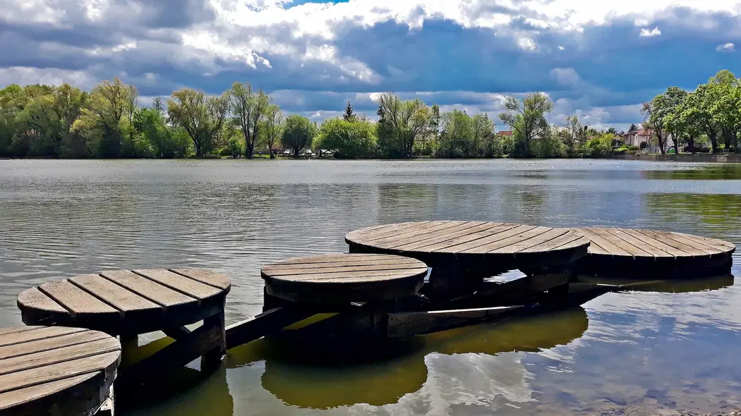 Vestecký rybník – příroda, Vestec