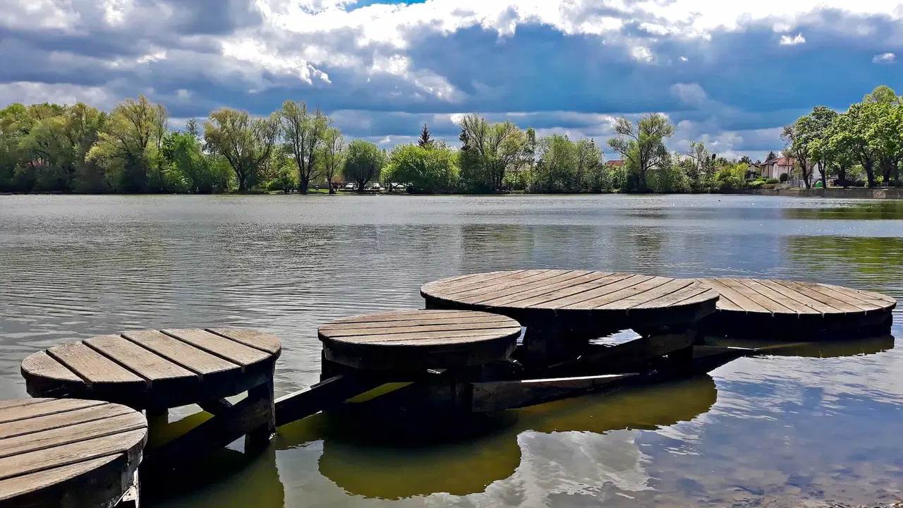 Vestecký rybník – příroda, Vestec
