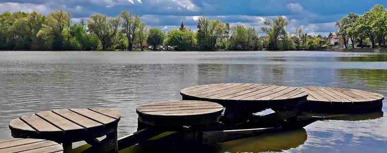 Vestecký rybník – příroda, Vestec